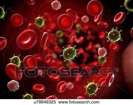 Virus infecting the blood, illustration View Large Illustration Stock Illustration - Virus infecting the blood, illustration. Fotosearch