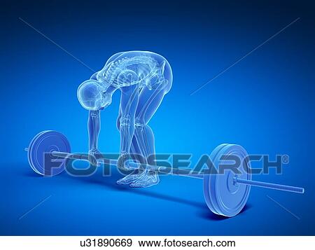 Weight lifting, incorrect posture View Large Illustration Stock Illustration - Weight lifting, incorrect posture. Fotosearch