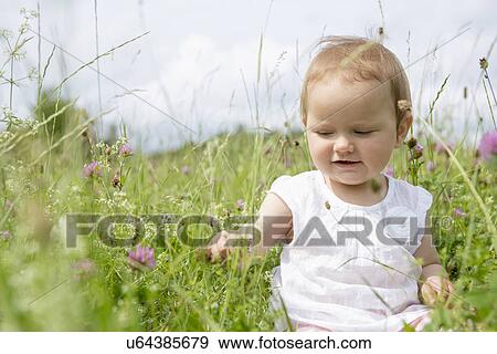 Baby girl sitting in field with wildflowers View Large Photo Image Stock Photo - Baby girl sitting in field with wildflowers. Fotosearch