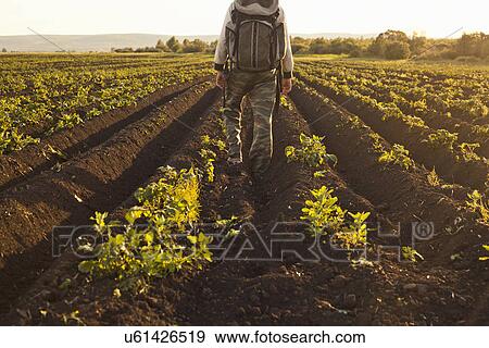 Backpacker on vegetable farm, Sarsy village, Sverdlovsk region, Russia View Large Photo Image Stock Photo - Backpacker on vegetable farm, Sarsy village, Sverdlovsk region, Russia. Fotosearch