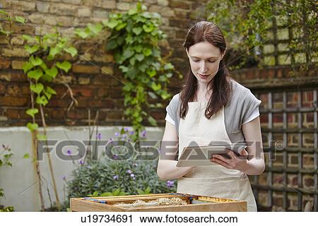 Stock Image - Beekeeper with "super" from beehive using touchscreen on digital tablet. Fotosearch