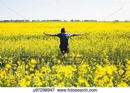 Boy on rapeseed field, Sarsy village, Sverdlovsk region, Russia View Large Photo Image Stock Photo - Boy on rapeseed field, Sarsy village, Sverdlovsk region, Russia. Fotosearch