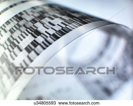 Close up of autoradiograph used in researching genetics View Large Photo Image Stock Image - Close up of autoradiograph used in researching genetics. Fotosearch