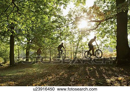 Stock Image - Cycling in the woods. Fotosearch