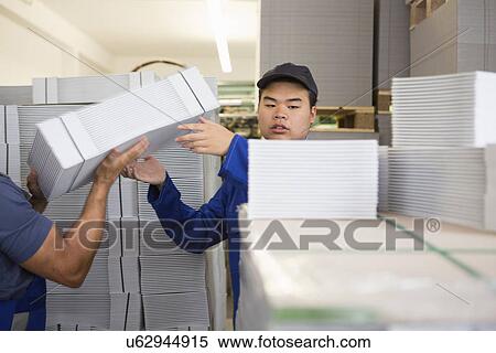 Factory workers moving and stacking cardboard View Large Photo Image Stock Photography - Factory workers moving and stacking cardboard. Fotosearch