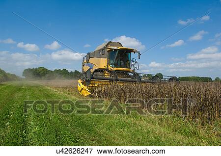 Farmer driving combine harvester in field View Large Photo Image Stock Photo - Farmer driving combine harvester in field. Fotosearch