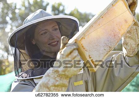 Female beekeepers holding up honeycomb tray on city allotment View Large Photo Image Stock Photography - Female beekeepers holding up honeycomb tray on city allotment. Fotosearch