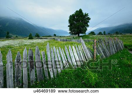 Stock Photo - Fence in misty valley, Mazeri village, Svaneti, Georgia. Fotosearch