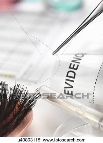Stock Photography - Hair sample collected from crime scene for genetic testing in laboratory. Fotosearch