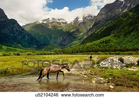 Stock Photograph - Horse walking through valley river, Mazeri village, Svaneti, Georgia. Fotosearch