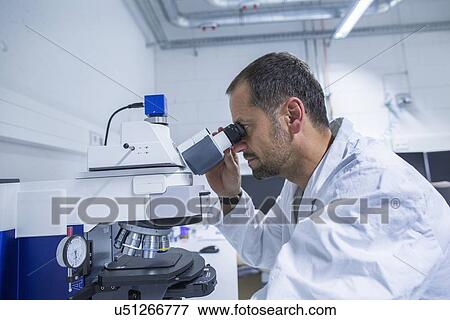 Lab assistant looking into microscope View Large Photo Image Stock Photo - Lab assistant looking into microscope. Fotosearch