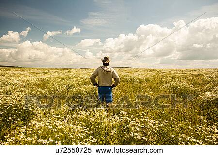 Stock Photography - Man on field of wild flowers, Sarsy village, Sverdlovsk region, Russia. Fotosearch
