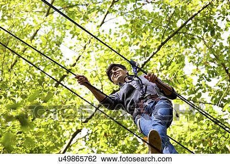Stock Image - Outdoor sports and adventure tree climbing. Fotosearch