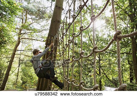 Stock Image - Outdoor sports and adventure tree climbing. Fotosearch