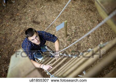 Outdoor sports and adventure tree climbing View Large Photo Image Stock Photo - Outdoor sports and adventure tree climbing. Fotosearch