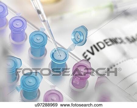 Stock Photo - Pipetting DNA sample collected from crime scene into vial for forensic testing in laboratory. Fotosearch