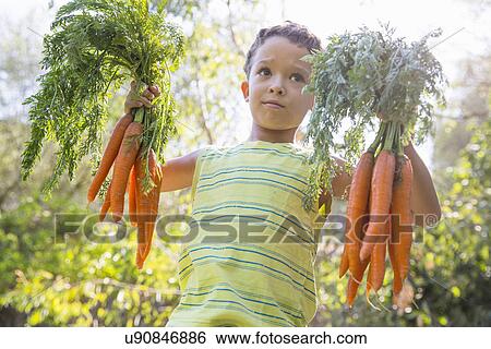 Stock Photograph - Portrait of boy in garden holding up bunches of carrots. Fotosearch