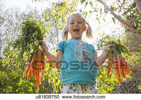 Portrait of girl in garden holding up bunches of carrots View Large Photo Image Stock Image - Portrait of girl in garden holding up bunches of carrots. Fotosearch
