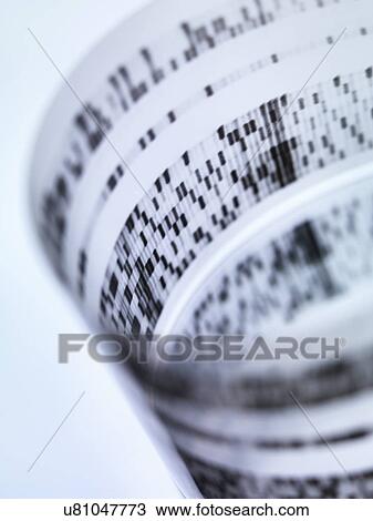 Stock Image - Rolled autoradiograph used in researching genetics. Fotosearch