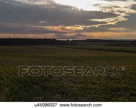 Stock Photo - Row of distant silhouetted wind turbines, Oland, Sweden. Fotosearch