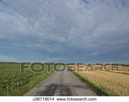 Picture - Straight rural road between fields. Fotosearch