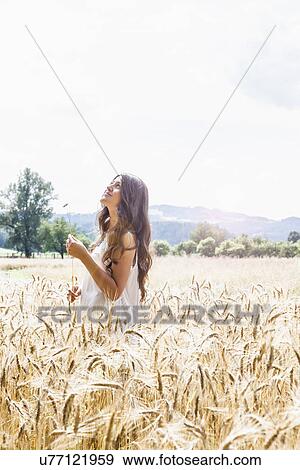 Young woman in wheat field View Large Photo Image Stock Photo - Young woman in wheat field. Fotosearch