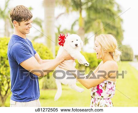 Stock Photography - Boyfriend giving white puppy with ribbon bow to girlfriend as present. Fotosearch