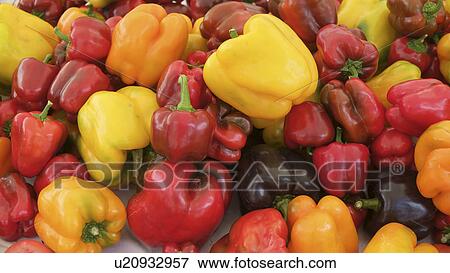 Colorful bell peppers View Large Photo Image Stock Photo - Colorful bell peppers. Fotosearch
