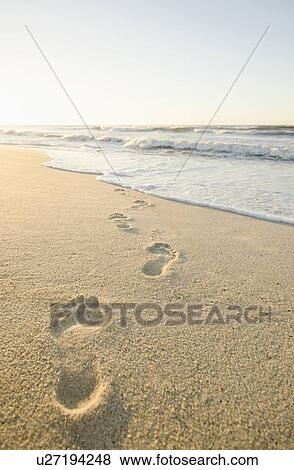 Footprints on beach View Large Photo Image Stock Photo - Footprints on beach. Fotosearch