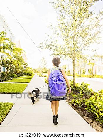 Girl (6-7) walking her dog View Large Photo Image Stock Photo - Girl (6-7) walking her dog . Fotosearch