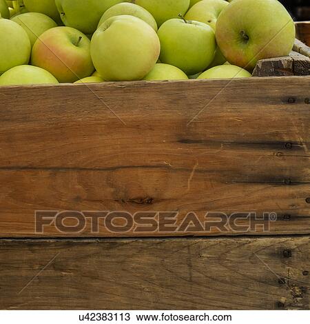 Green apples in crate View Large Photo Image Stock Image - Green apples in crate. Fotosearch