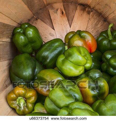 Green bell peppers View Large Photo Image Picture - Green bell peppers. Fotosearch
