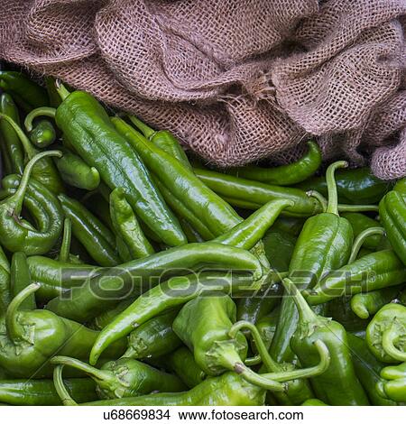 Green jalapeno peppers View Large Photo Image Picture - Green jalapeno peppers. Fotosearch