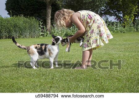 Picture - Little girl (2-3) playing with cats in garden. Fotosearch