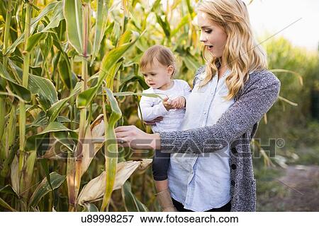 Mother and daughter (12-17 months) in corn field View Large Photo Image Stock Photo - Mother and daughter (12-17 months) in corn field. Fotosearch