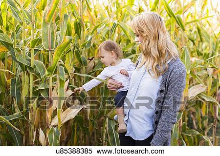 Mother and daughter (12-17 months) in corn field View Large Photo Image Stock Photography - Mother and daughter (12-17 months) in corn field. Fotosearch