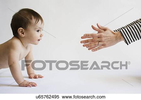 Mother encouraging her daughter (12-17 months) to walk View Large Photo Image Stock Photography - Mother encouraging her daughter (12-17 months) to walk. Fotosearch