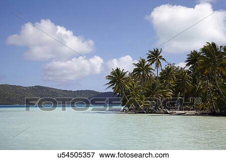 Palm trees on tropical island View Large Photo Image Stock Photo - Palm trees on tropical island. Fotosearch
