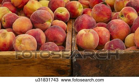 Peaches in crates View Large Photo Image Stock Image - Peaches in crates. Fotosearch