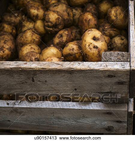 Stock Image - Potatoes in crate. Fotosearch