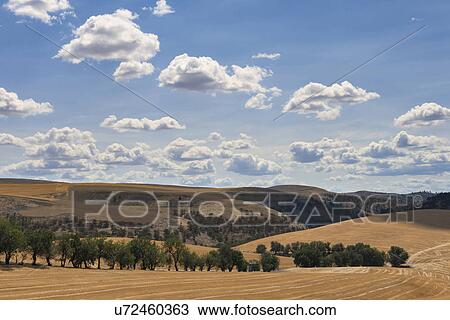 Stock Image - Rolling landscape with cloudy sky. Fotosearch