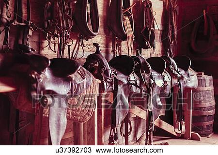 Saddles on bench in barn View Large Photo Image Stock Image - Saddles on bench in barn. Fotosearch