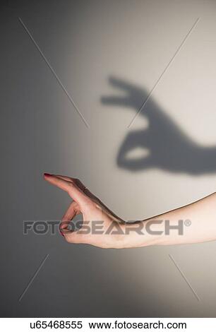 Shadow rabbit View Large Photo Image Stock Photography - Shadow rabbit. Fotosearch