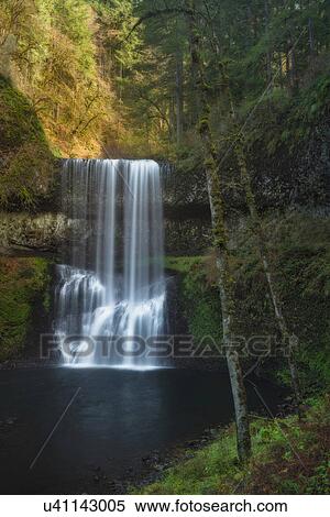 Stock Photography - Silver Falls State Park, View of waterfall in forest. Fotosearch