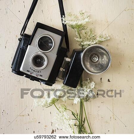 Stock Image - Studio shot of antique camera with flowers. Fotosearch