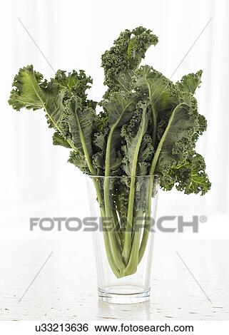 Studio shot of kale leaves in glass View Large Photo Image Stock Photograph - Studio shot of kale leaves in glass. Fotosearch