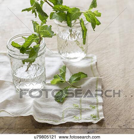 Stock Image - Studio shot of mint leaves. Fotosearch