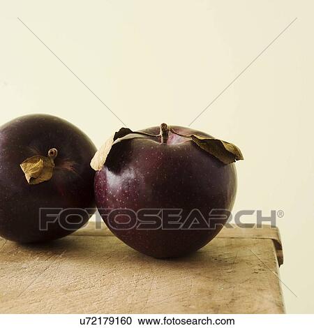 Studio shot of purple apples View Large Photo Image Stock Image - Studio shot of purple apples. Fotosearch