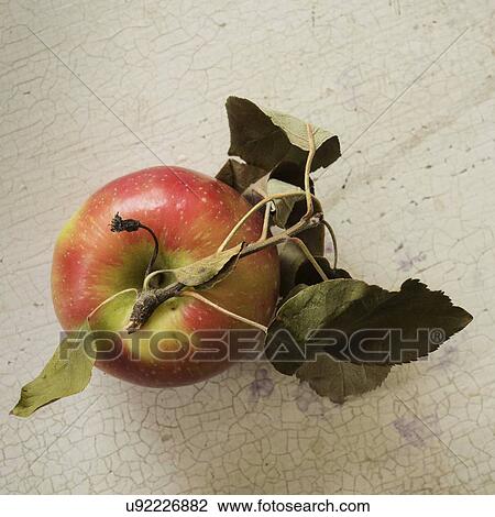 Stock Image - Studio shot of red apple. Fotosearch