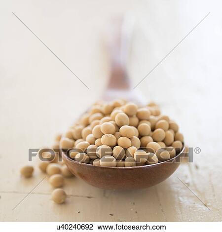 Studio shot of soy beans View Large Photo Image Stock Image - Studio shot of soy beans. Fotosearch